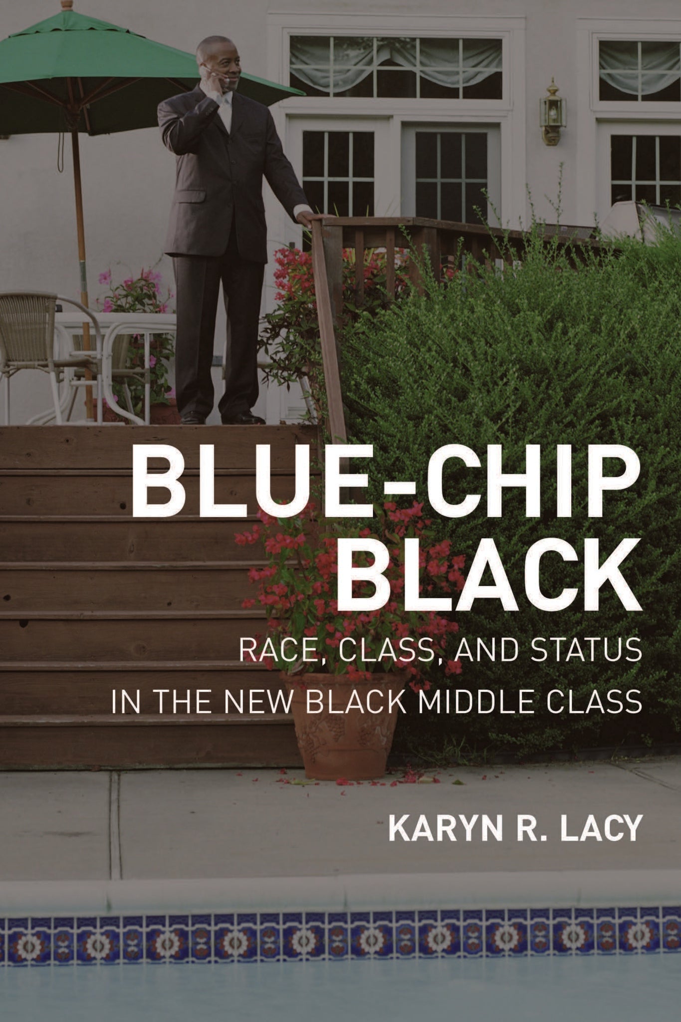 Cover image for Blue-Chip Black ISBN 9780520251168
